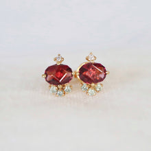 Load image into Gallery viewer, Mariachi Cluster Earrings