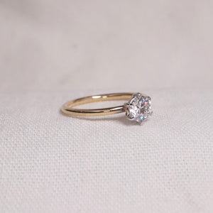 *Grace Ring*