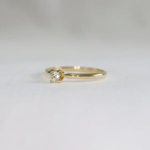 Dainty D in Yellow gold