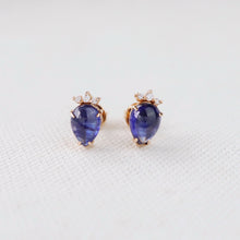Load image into Gallery viewer, Peacock Earrings