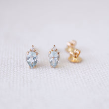 Load image into Gallery viewer, Raindrop Sparkle Earrings